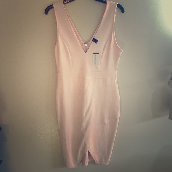 Rose Blush Windsor Mini Dress - Picture 1 of 2